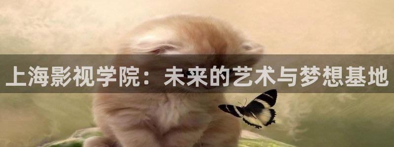 青苹果影院大全免费：上海影视学院：未来的艺术与梦想基地