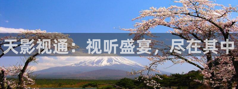 青苹果影院.：天影视通：视听盛宴，尽在其中