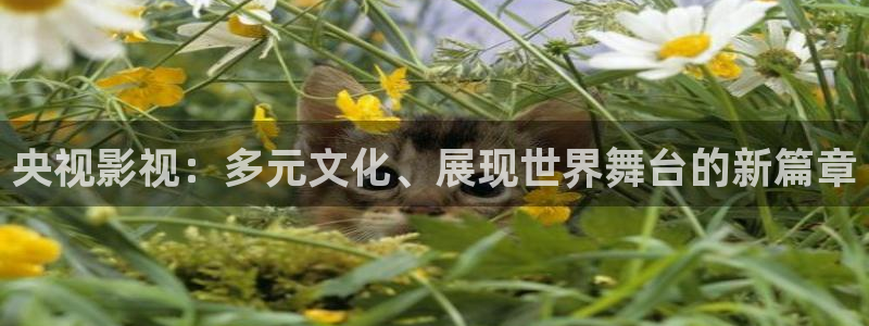 青苹果免费剧场：央视影视：多元文化、展现世界舞台的新篇章