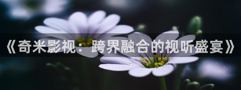 yy4480万达青苹果影院