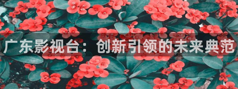 青苹果影院网页版