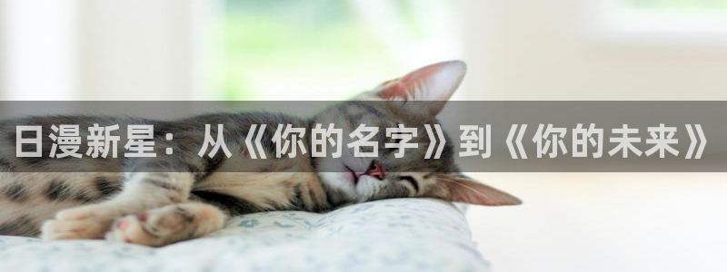 4480青苹果万达影院：日漫新星：从《你的名字》到《你的未来》